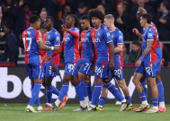 kaiyun-水晶宫主场取胜，英超联赛位置大幅上升(英超水晶宫官网)